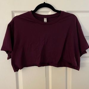 Alo Yoga Cropped Short Sleeve Top